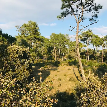 L'ensoleille, T2 Face Ocean * Saint-Jean-de-Monts