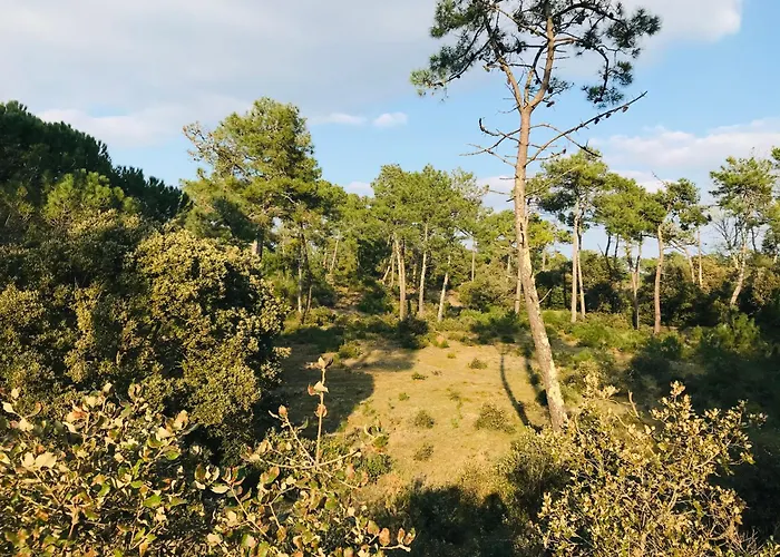 L'ensoleille, T2 Face Ocean * סן ז'אן דה מון